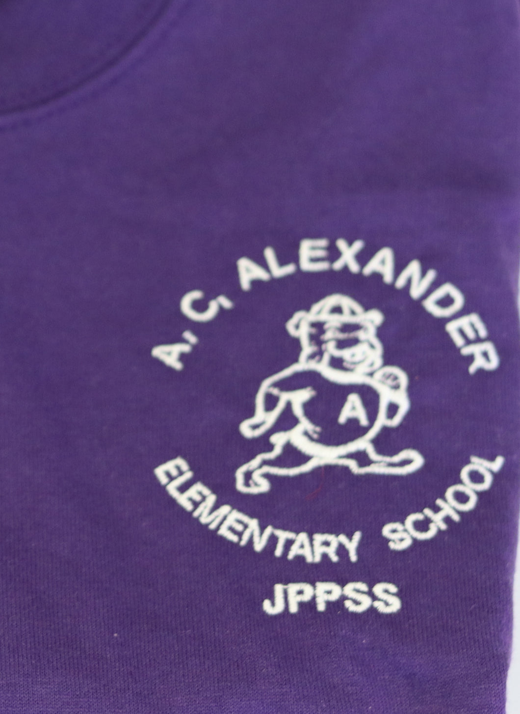 A.C. Alexander Elementary T-shirt Youth Purple Gildan