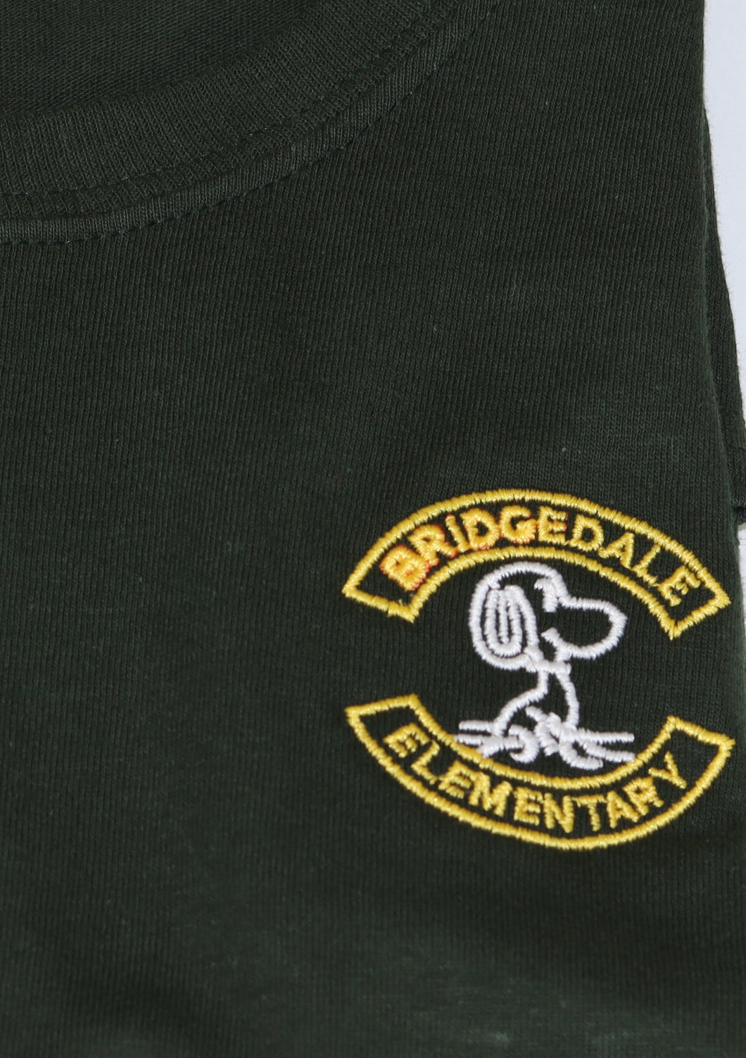 Bridgedale Elementary T-shirt Youth Green Gildan